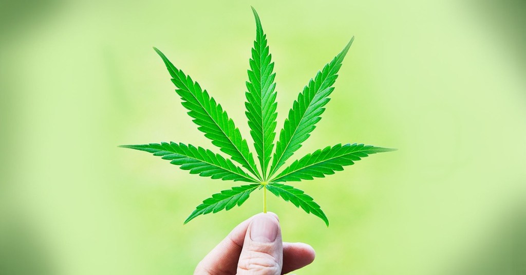 Michigan Landlords Can Say No To&nbsp;Marijuana